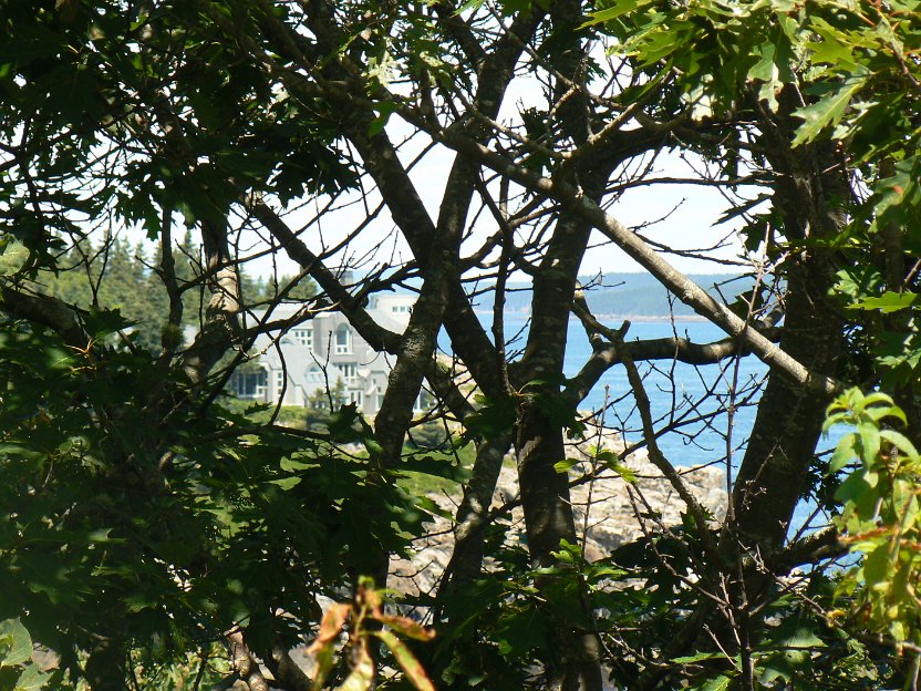 103-house behind the bushes.jpg